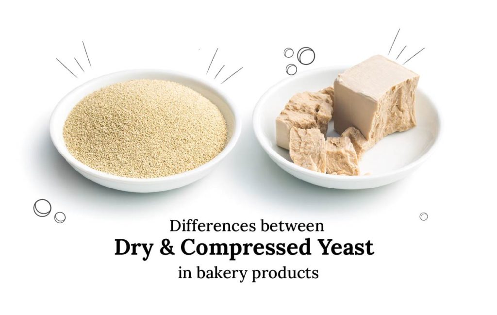 Differences between Dry Yeast and Compressed Yeast in bakery products
